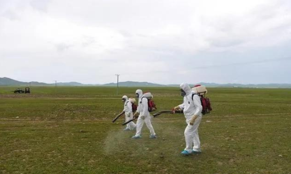 蝗災(zāi)來(lái)襲，農(nóng)藥獸藥防偽溯源面臨機(jī)遇和挑戰(zhàn)