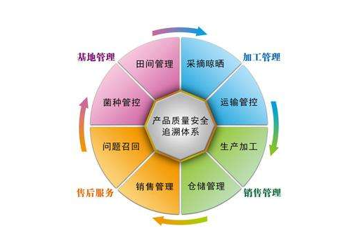產(chǎn)品追溯系統(tǒng)有哪些公司，是怎樣開發(fā)系統(tǒng)的？